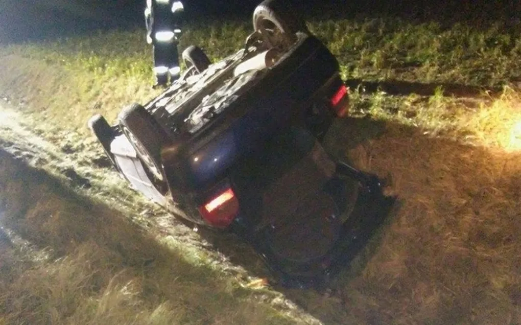 Pies wtargnął na drogę, audi dachowało (zdjęcia)