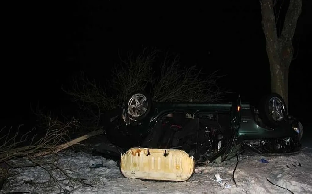 Dachował i uderzył w drzewo. Był pijany