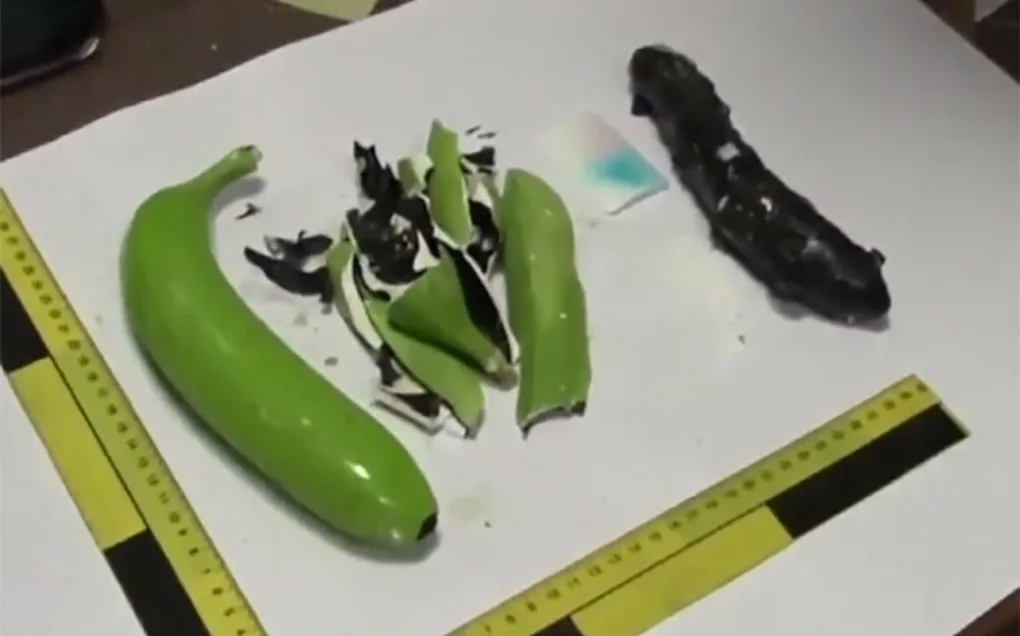 Kokaina ukryta w sztucznych bananach (wideo)