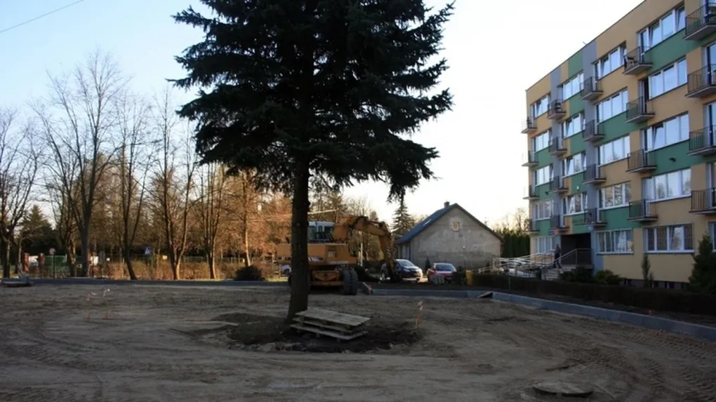 Skrzynka skarg: 14 tys. złotych za wycięcie jednego drzewa?
