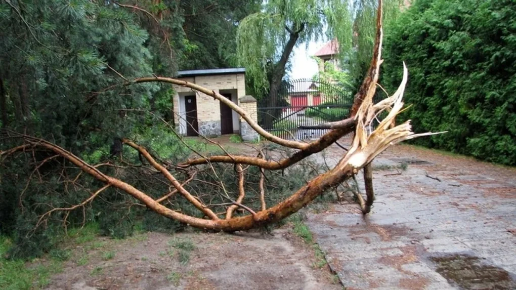 Skutki nawałnic nad powiatem ostrowskim (zdjęcia)