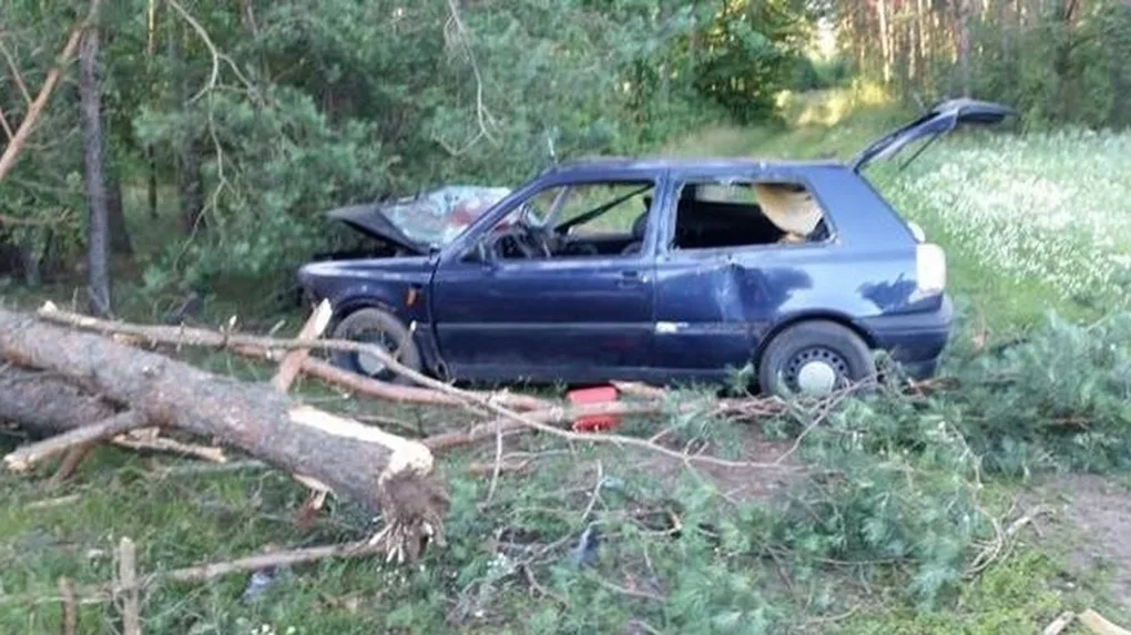 Volkswagen uderzył w drzewo (zdjęcia)