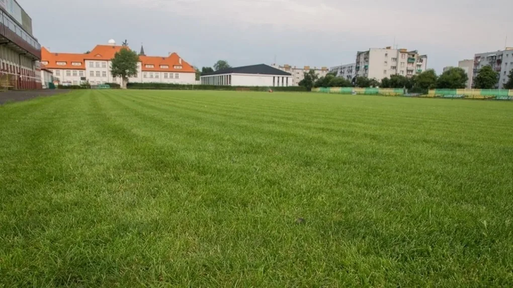 Murawa przy Warchalskiego już po renowacji (zdjęcia)