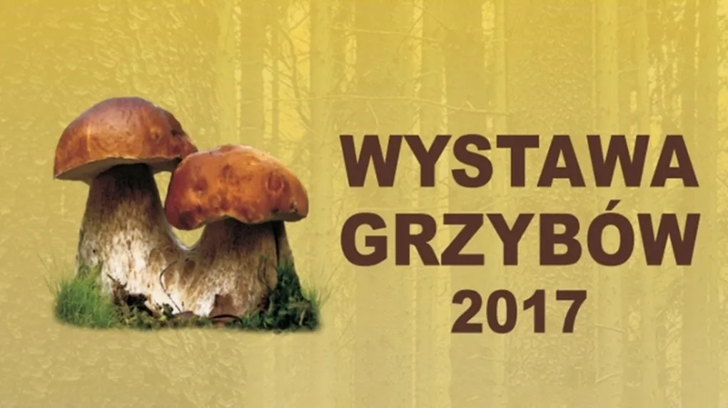 Wystawa grzybów w ostrowskim sanepidzie