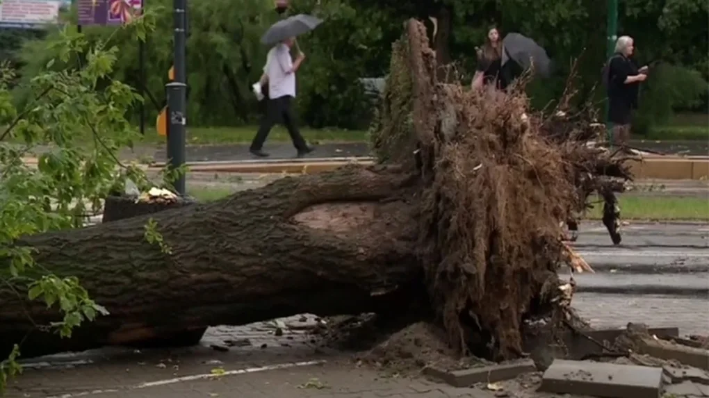 Jedna osoba zginęła, a dwie zostały ranne w wyniku nawałnic, które przetoczyły się nad Polską (wideo)