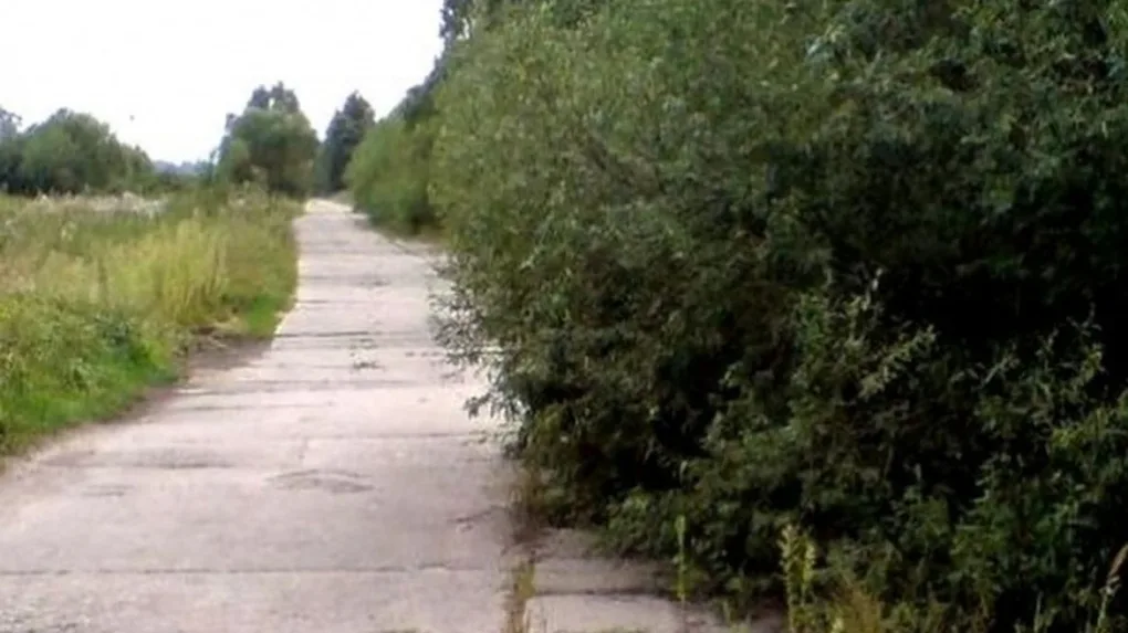 Skrzynka skarg: słaba widoczność na drogach przez zaniedbane pobocza