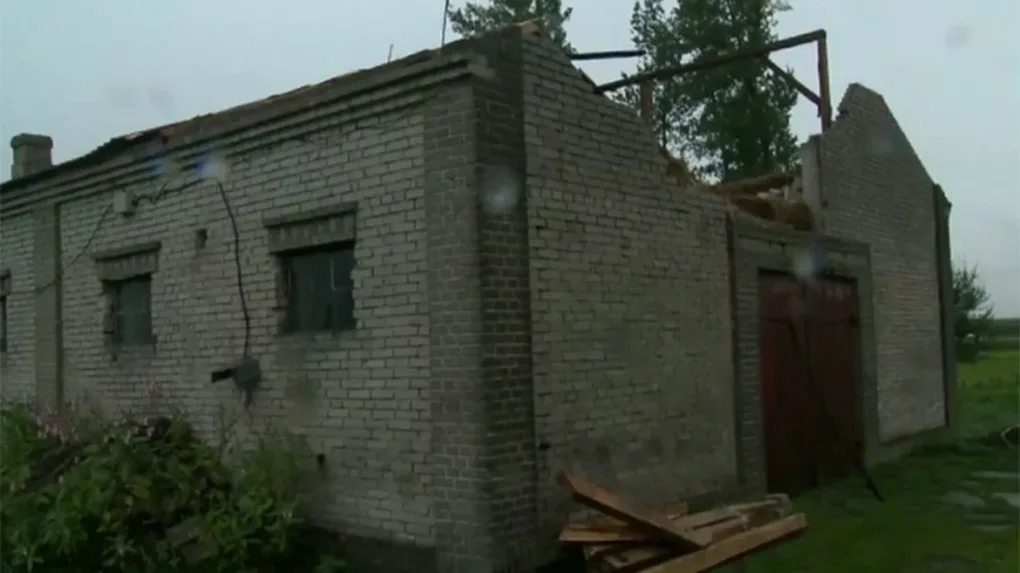 Wicher zrywał dachy i linie energetyczne. Nad Mazowszem przeszły nawałnice (wideo)