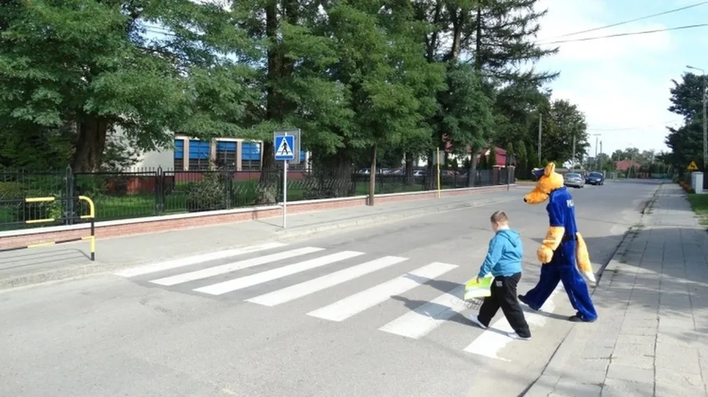 'Bezpieczna droga do szkoły'. Działania ostrowskiej policji