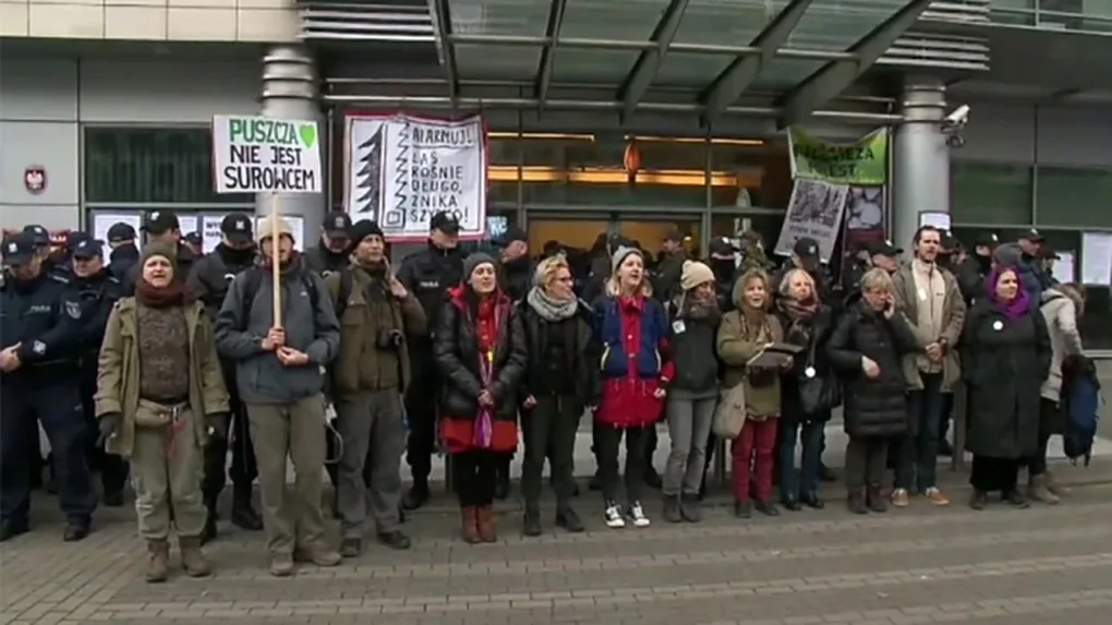 Protest ekologów przeciw wycince Puszczy Białowieskiej. Wtargnęli do siedziby Lasów Państwowych (wideo)