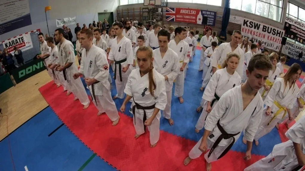 Siedem medali ostrowskich karateków w Józefowie (zdjęcia)
