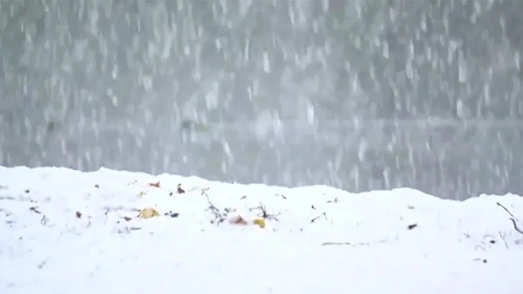Sobota słoneczna, ale na wschodzie spadnie śnieg (wideo)