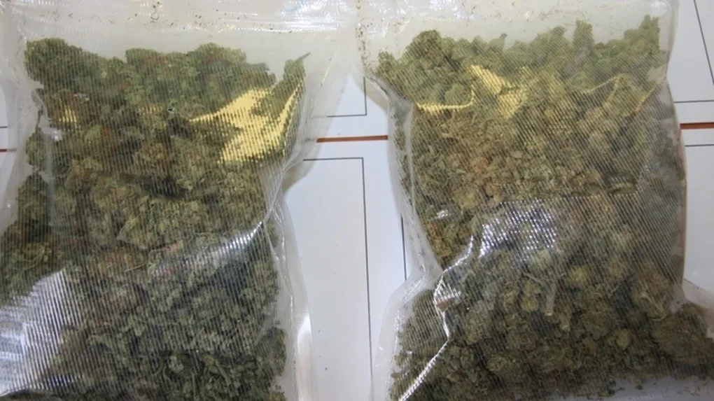 Prawie 2 kg narkotyków w mieszkaniu ostrowianina