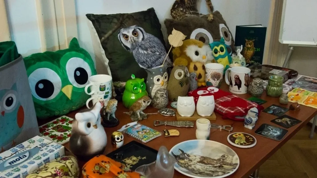 'Noc Sów' w Ostrowi Mazowieckiej (zdjęcia, wideo)