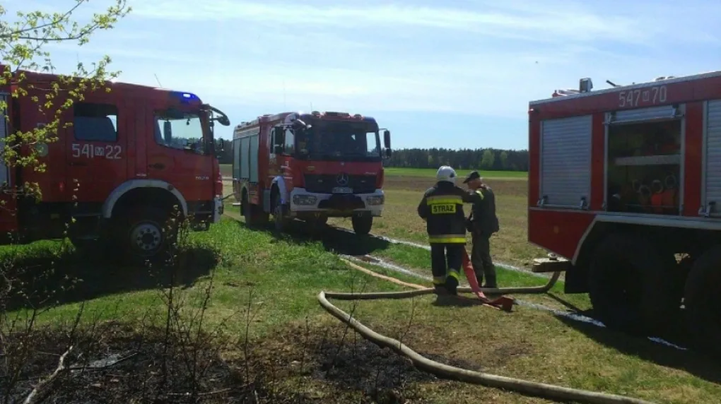 Pożar lasu w gminie Nur (zdjęcia)