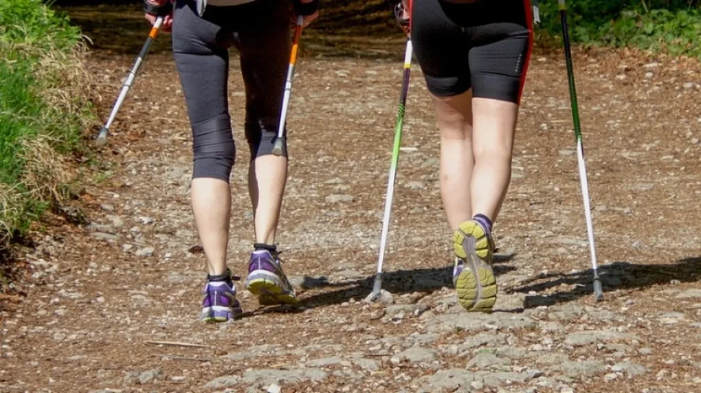 Nordic walking z instruktorem