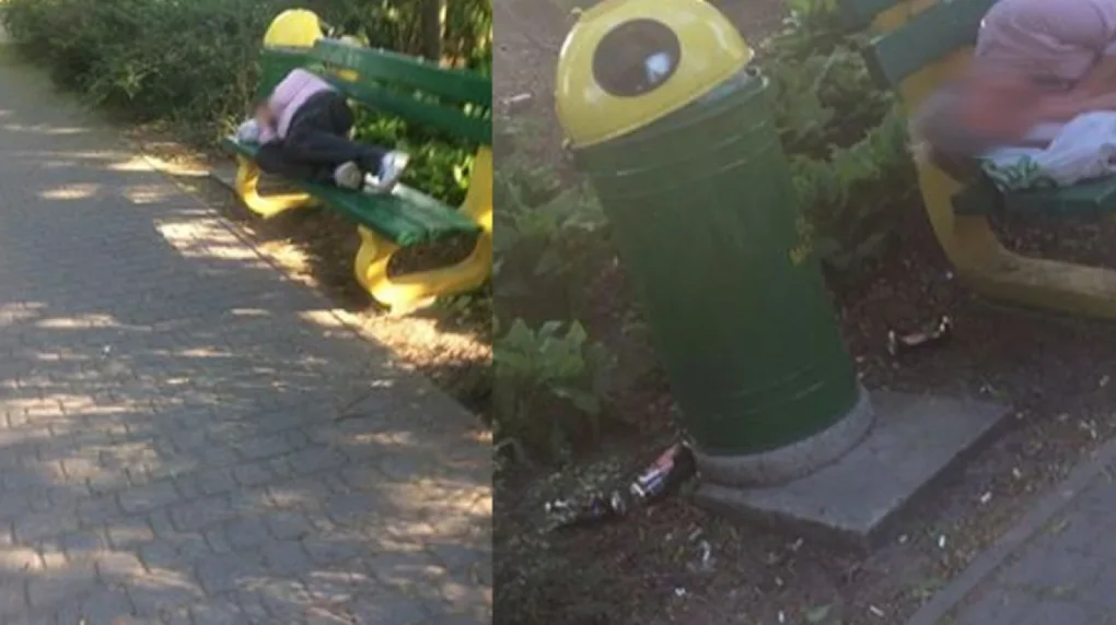 Skrzynka skarg: Codzienność nad stawem miejskim
