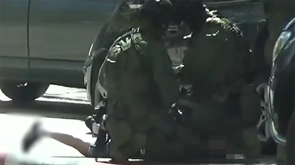 Policja rozbiła gang narkotykowy. Zatrzymali 10 osób, przejęli 12 kg narkotyków (wideo)