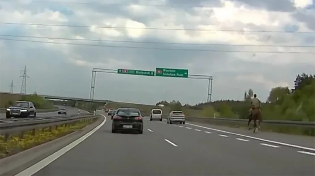 Niecodzienny widok na drodze ekspresowej (wideo)