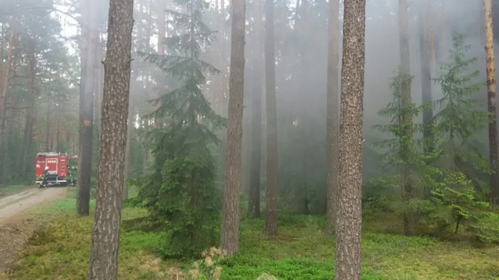 Ostrowscy strażacy gasili pożar w Wykrocie (zdjęcia)