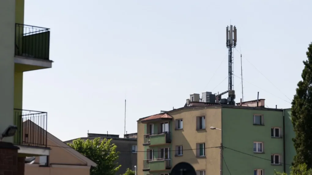Środa słoneczna (wideo)