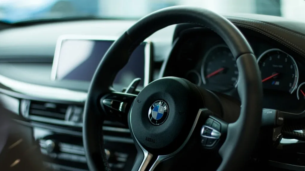 Pies wbiegł pod koła bmw