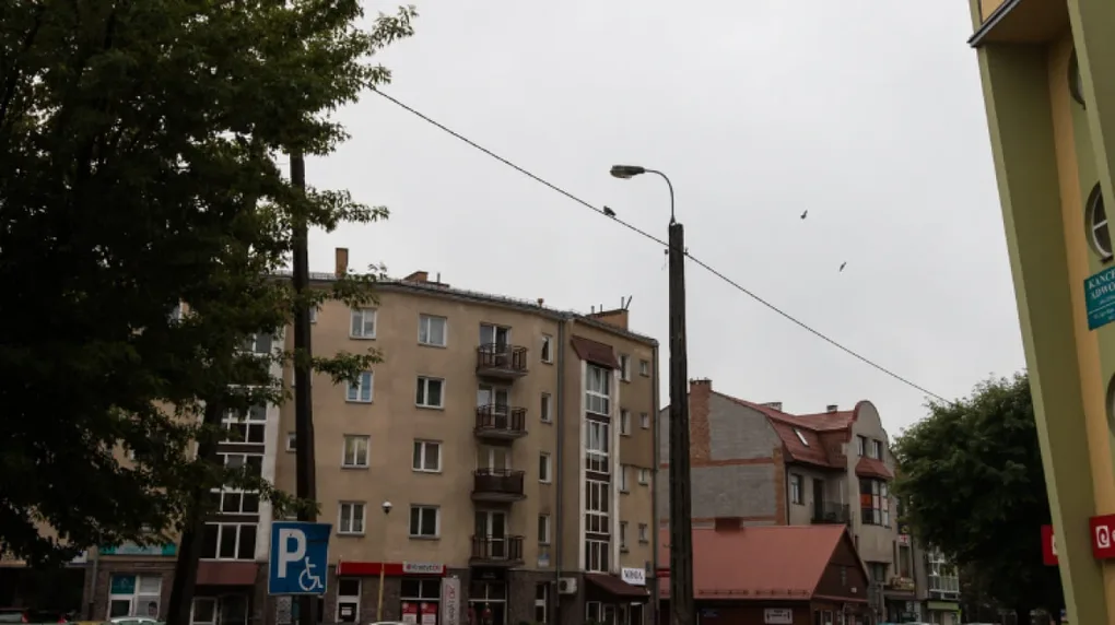 Środa z przelotnymi opadami (wideo)