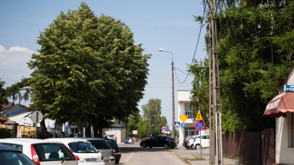 W czwartek przelotny deszcz i burze (wideo)