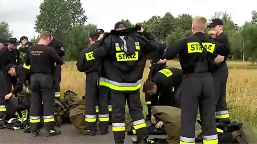 'Poszukiwania z lądu, wody i powietrza'. 80 strażaków szuka pytona tygrysiego nad Wisłą (wideo)