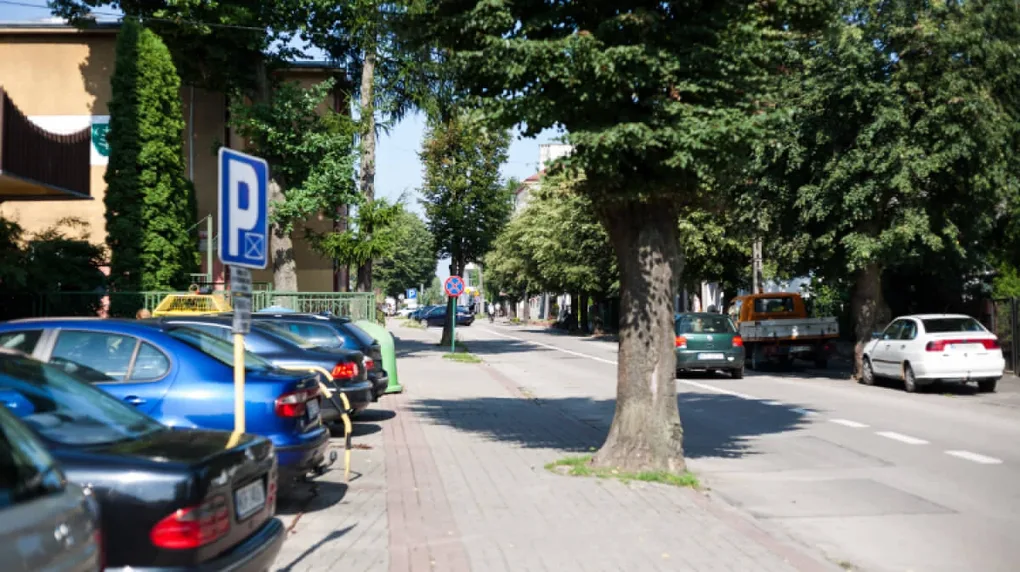Piątek z przelotnymi opadami i burzami (wideo)