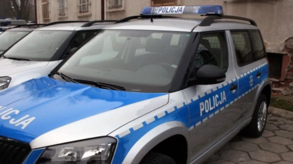 Cofając uderzył w forda