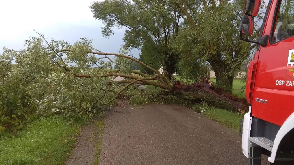 Interwencje straży pożarnej po nawałnicy