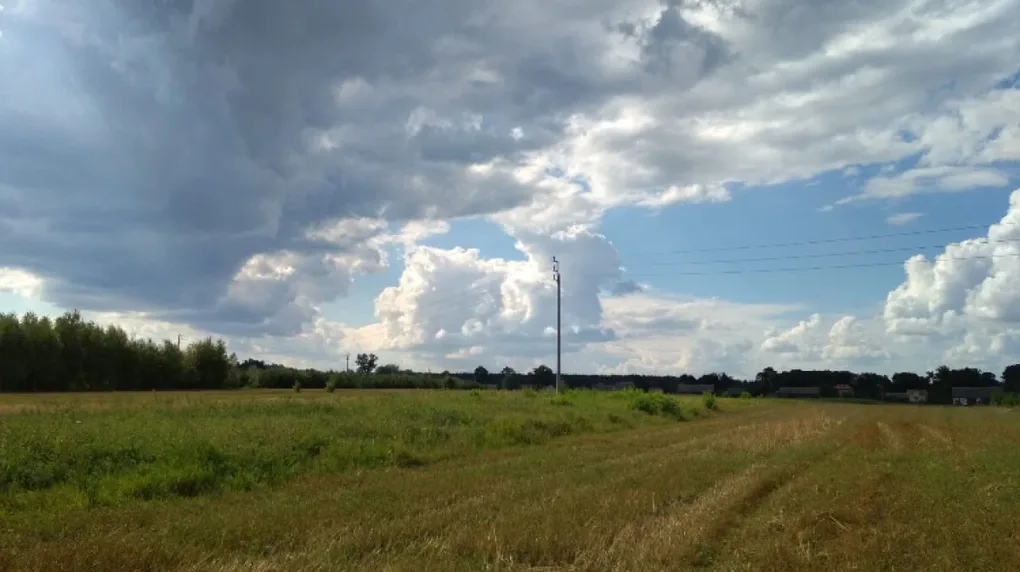 Zamelduj się na starcie wyścigu dożynkowego (harmonogram)