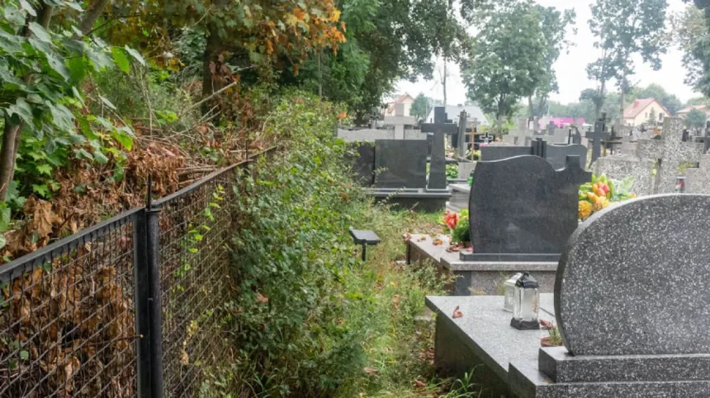 Skrzynka skarg: zaniedbany cmentarz parafialny (zdjęcia)