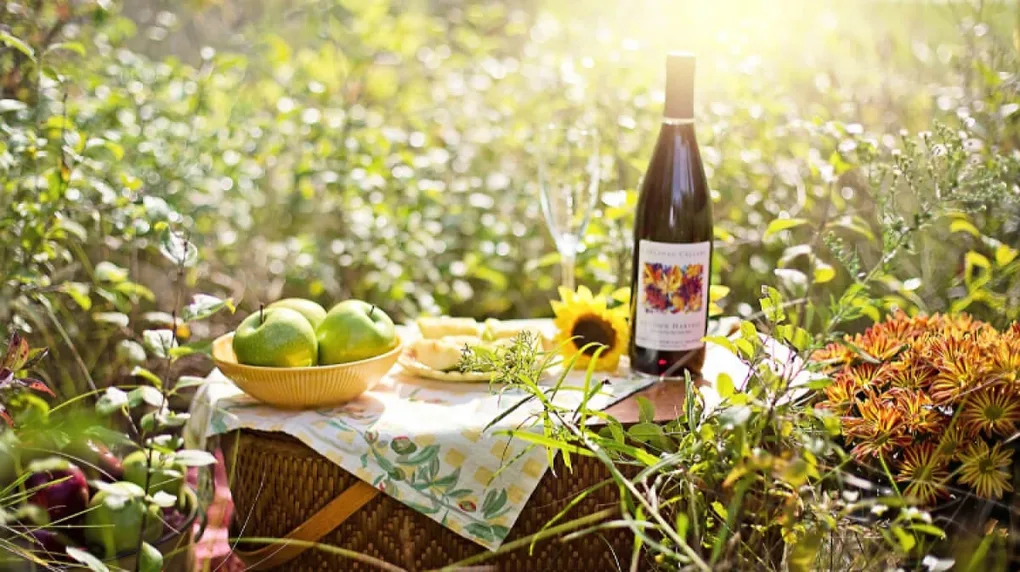 Piknik jesienny na Skwerku Obfitości