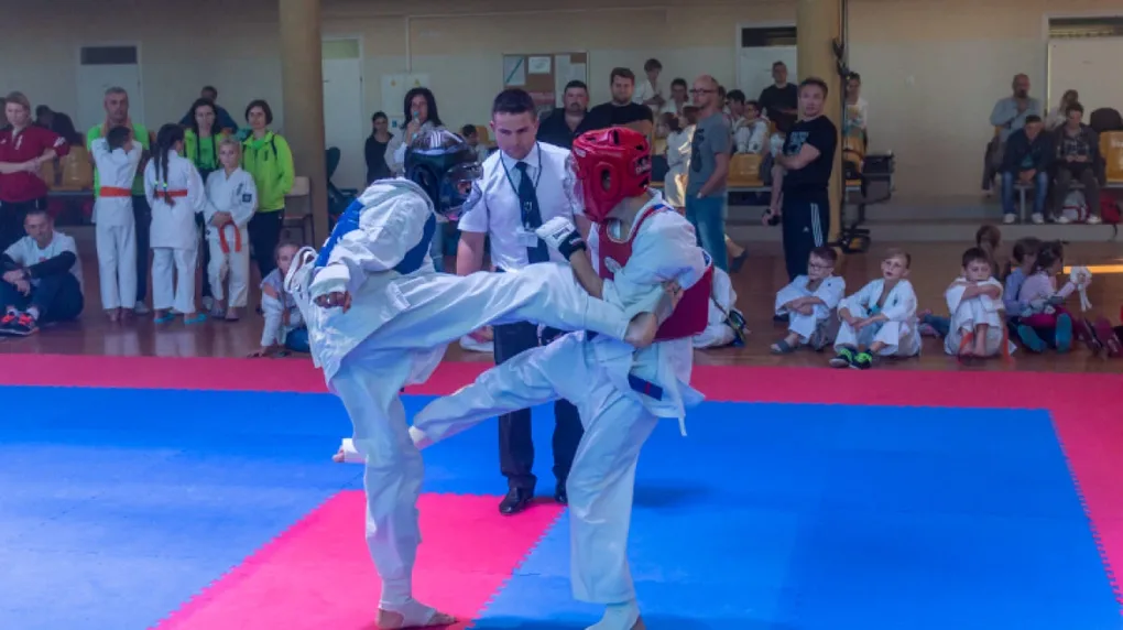 Setki karateków na macie (zdjęcia, wideo)