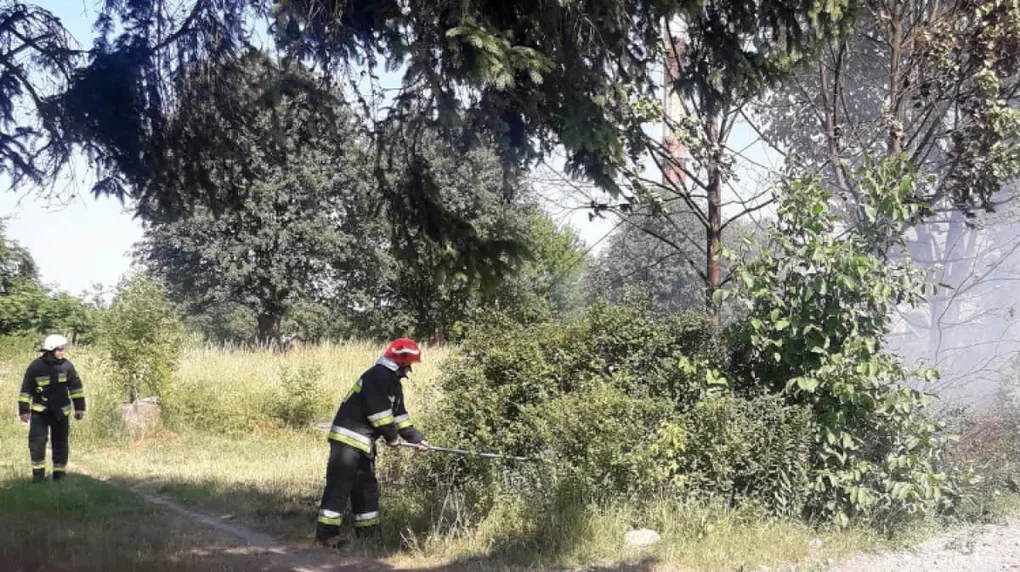Pożar łęgów w Zawistach Nadbużnych