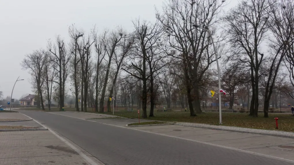 Wtorek z przelotnymi opadami deszczu (wideo)