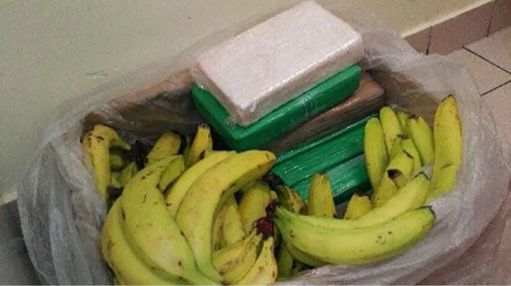 Kokaina w kartonie z bananami!