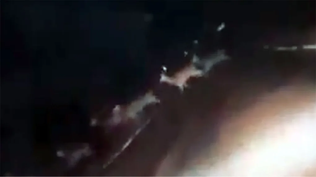 Niecodzienne nagranie naszej czytelniczki (wideo)
