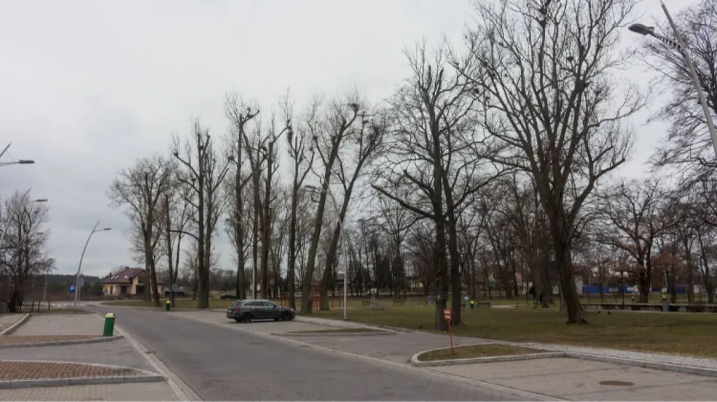 Ciepły czwartek. Wiosenna temperatura (wideo)