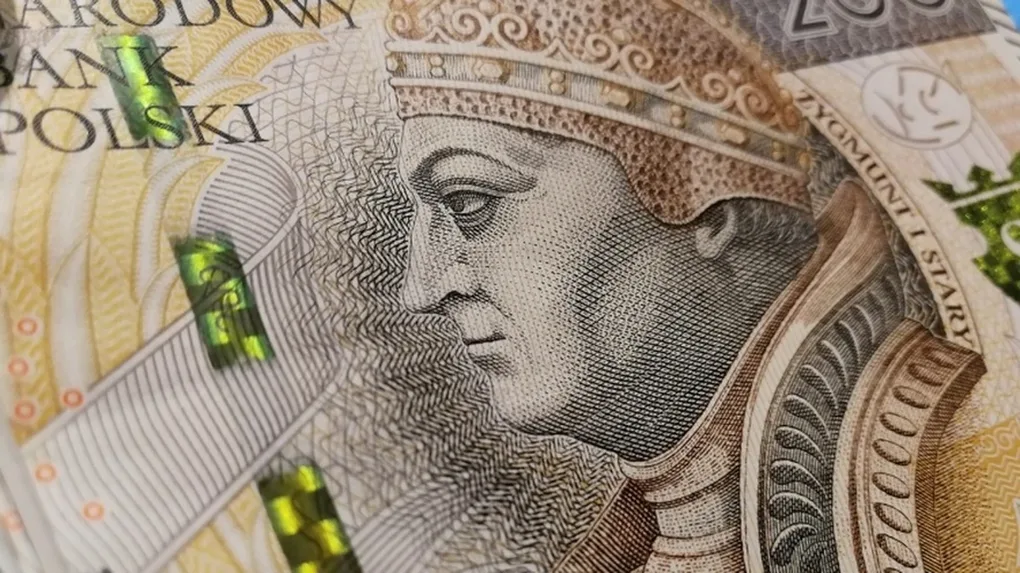 Oszukała 150 osób na 60 mln zł. Stworzyła 'piramidę finansową' (wideo)