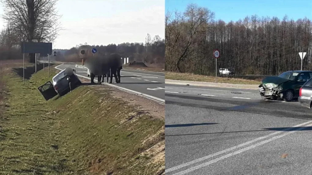 Zderzenie fiata z oplem w Treblince