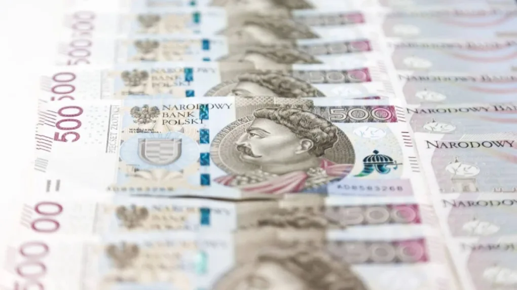 Kluby z miasta i powiatu z dofinansowaniem