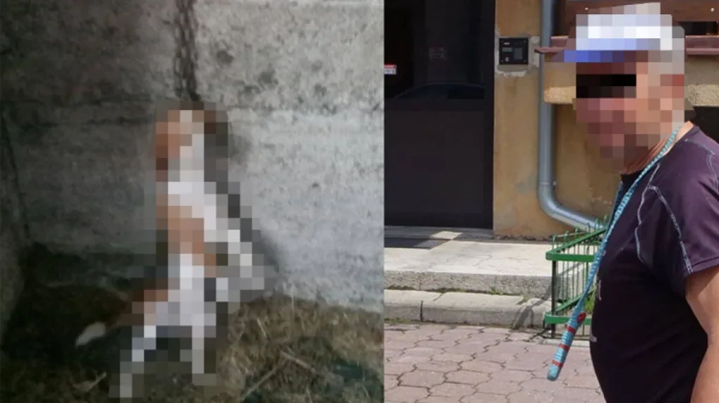 Jest akt oskarżenia dla bestialskiego oprawcy psa