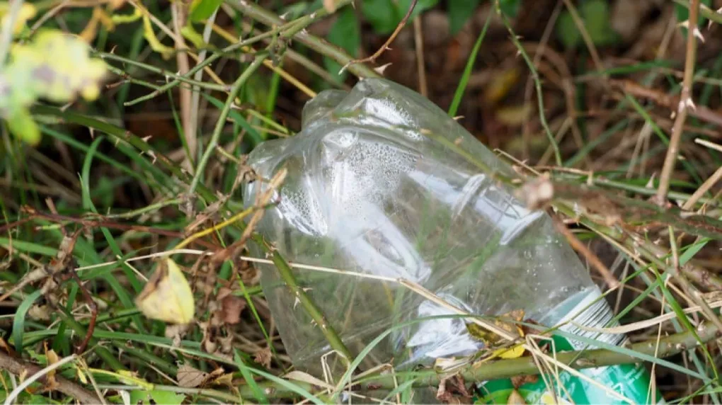 Śmiecą w lesie przy Bagińskiej