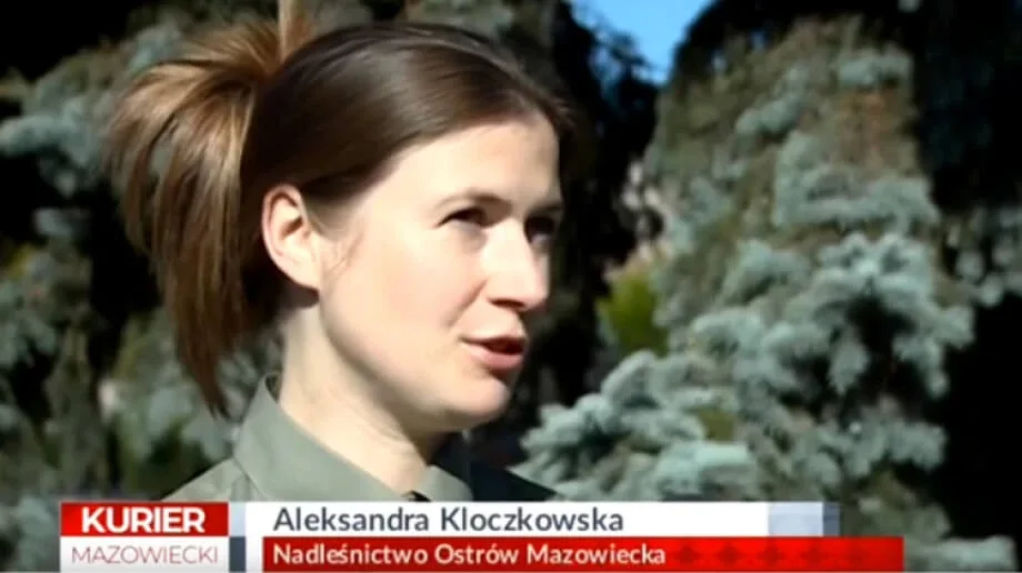 'Kurier Mazowiecki' o bezpieczeństwie podczas grzybobrania (wideo)