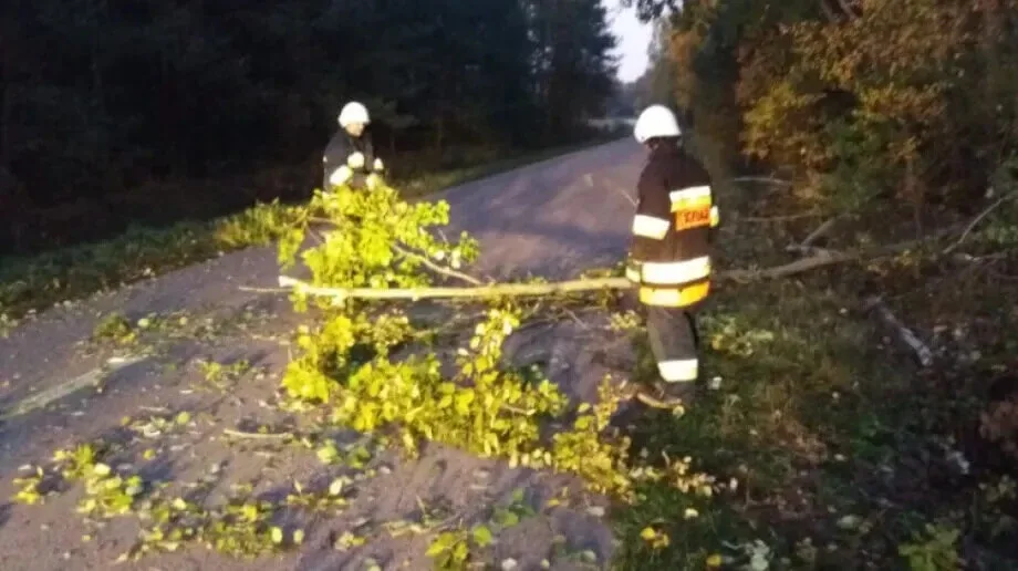 Bobry utrapieniem strażaków z Bogut
