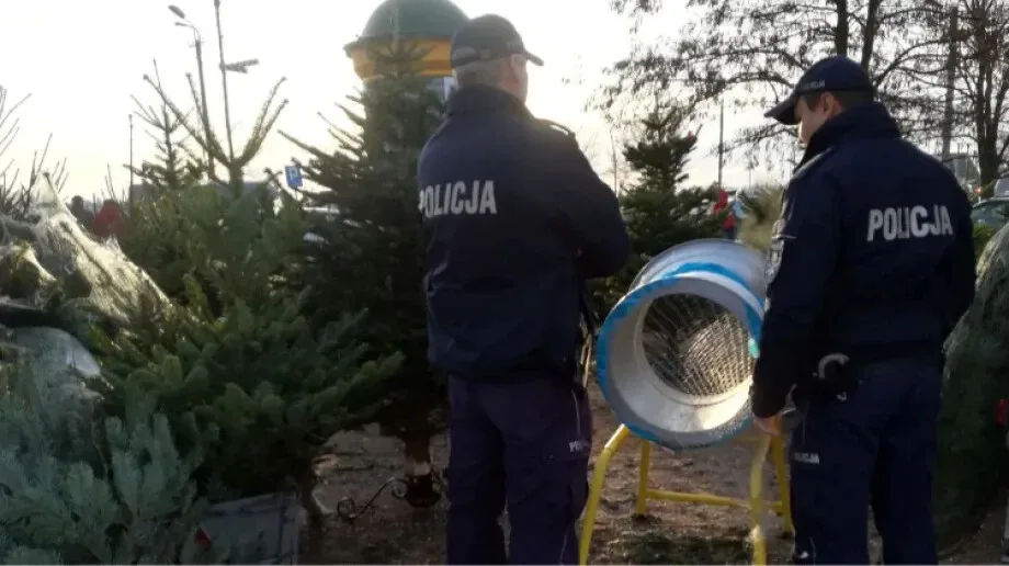 Ruszyła akcja 'Stroisz 2019'. Policjanci kontrolowali sprzedawców choinek