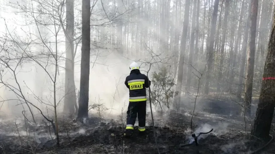 Plaga pożarów w podostrowskich lasach