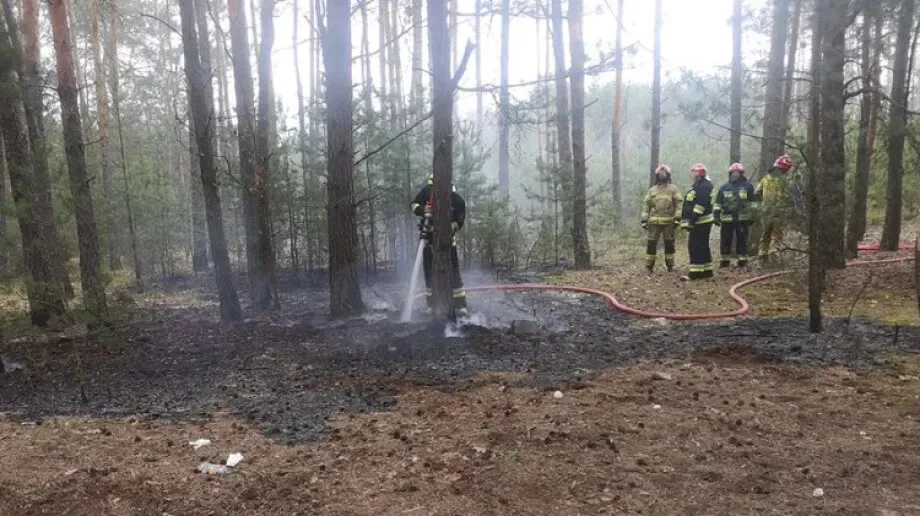 Pożar lasu w Komorowie 